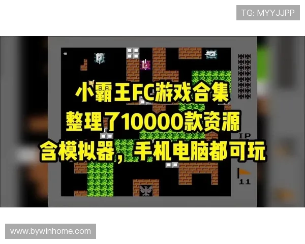 最新FC游戏合集免费下载,丰富游戏内容满足不同玩家需求 最新FC游戏合集免费下载,丰富游戏内容满足不同玩家需求